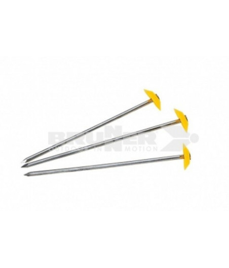 Carpeg