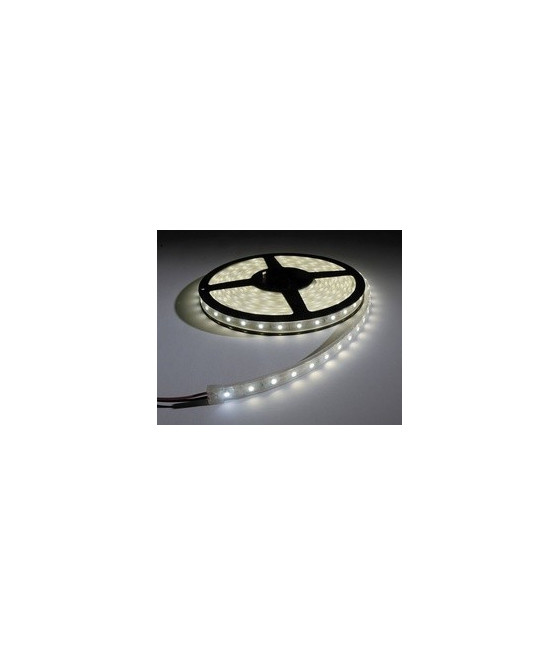 Striscia a led 120 LED 9,6 W/m Rotolo 5 metri